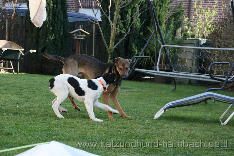 IMG_0018.JPG