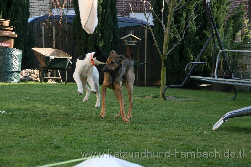 IMG_0020.JPG