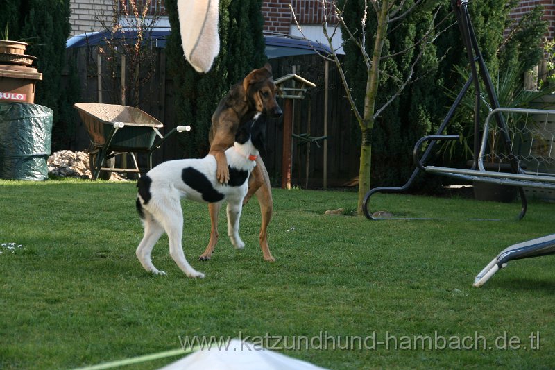 IMG_0022.JPG