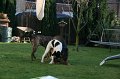 IMG_0034